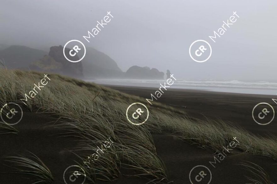 Stormy Weather Piha Beach West Coast