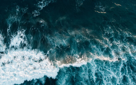 Wild Waves